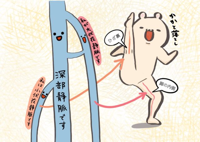 他の種類の静脈血栓症にはどのようなものがありますか?